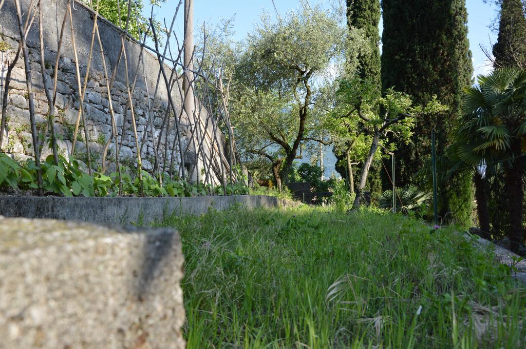 Arco Climbing Villa Exteriör bild